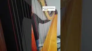 Strumming all the strings on my harp #shorts