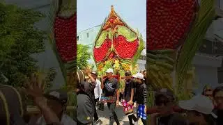 ancak gunungan keren sedekah bumi petal #sedekahbumi #shorts #karnaval2023
