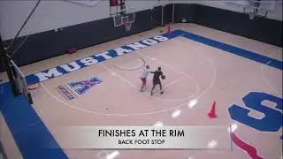 Shake player development