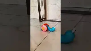 #Shorts Amazing Products TikTok Video | Snail toy
