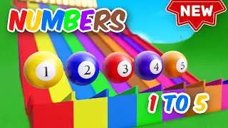 Color Slides with Bouncing Balls + Learn Numbers | Counting 1 to 5 for Kids | Learn to Count Numbers