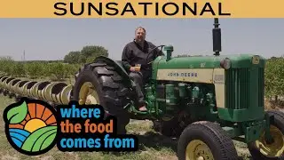 Where the Food Comes From - Sunsational
