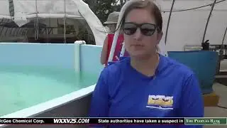 WXXV 25 Two Rehabbed Sea Turtles to Be Released Into Ms  Sound Today 11.25.19