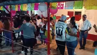 Los pumas de amazonas 🐯 ingrata mujer Elio flores 