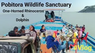 Pobitora Assam wildlife | Highest density of one horn Rhino in the world, Mayong village black magic