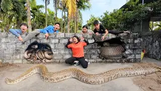 Brave Hunter Confronts Ferocious Giant Python and 100 Dragon Snakes to Rescue Girl