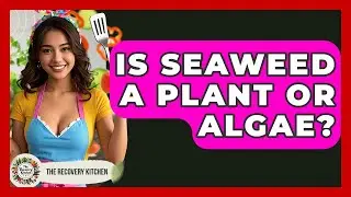 Is Seaweed A Plant Or Algae? - The Recovery Kitchen