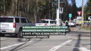 Surrey throat slashing suspect charged with terrorism