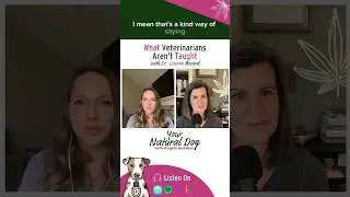 What a diagnosis really means! #dog #veterinarian #doghealth #vetmed #doglover