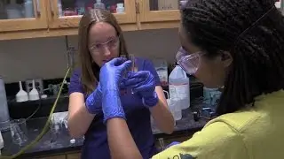 Texas A&M Science - I Chose Texas A&M Science