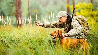 Techniques de chasse  approche silencieuse et tir pr&eacute;cis