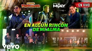 Orquesta Tropicalisima, Miguel Moly - En Algún Rincón De Mi Alma