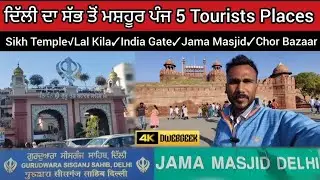 Delhi Famous Five 5 Tourist Places🇮🇳ਲਾਲ ਕਿਲ੍ਹਾ✓ਸਿੱਖ ਟੈਂਪਲ✓ਇੰਡੀਆ ਗੇਟ✓ਚੋਰ ਬਾਜ਼ਾਰ✓ਜਾਮਾ ਮਸਜਿਦ ਵੀਡੀਉ 2025