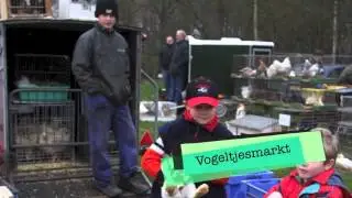 Beleef de herfst in Gastvrije Liempde!