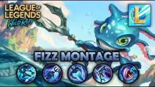 Fizz Montage Jungle Fizz