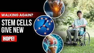 Walking Again? Japan&rsquo;s Stem Cell Research Offers New Hope!