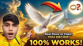 How to make rubber band powered flying bird 🐦#experiment  #birds #youtube