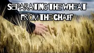 SEPARATING THE WHEAT FROM THE CHAFF