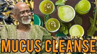 Dr Sebi Lists The Intracellular Cleansing Package