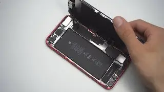 ASMR iPhone 8 Plus Display Replacement (No Talking)