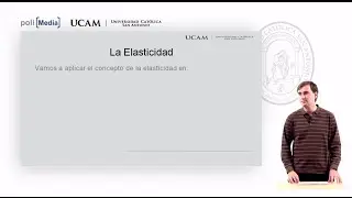 Microeconomía I - La elasticidad de la oferta y de la demanda (1) - Alfonso Rosa García