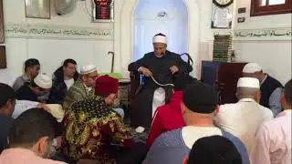 قصيدة تحفة : 