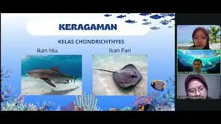 Video Tugas Biologi Laut Kelompok 7 | MSP B | Nekton Laut