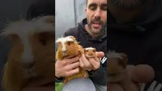 Mas Hijos de Librito!!