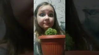 как камрю. я. маю. старшию дочку.  дочку. кагда. мы. играем.  садик