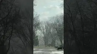 Snowstorm #usa #delaware #snow2025 #snowfall #snowstorm #snow #windy #travelvlog #traveling #usareel