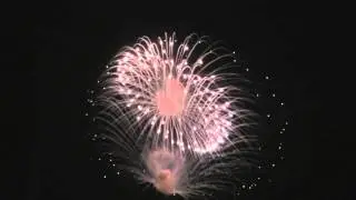 Maltese Multi-break shells