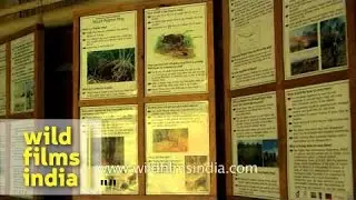 Pygmy Hog Conservation Centre in Assam, India