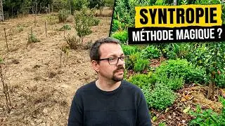 La SYNTROPIE : une méthode de CULTURE REVOLUTIONNAIRE ?