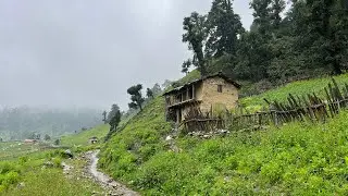 Poor but Very Happy Life in Nepali Village || Very Peaceful Village Life || IamSuman