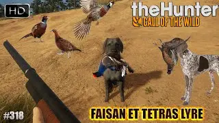 THE HUNTER CALL OF THE WILD #318 UNE GROSSE CHASSE AU FAISAN ET TETRAS LYRE SUR SALZWIESEN PARK !