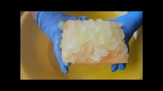 ASMR. SQUEEZING THE SPONGE. RINSING/ СЖИМАНИЕ, ПОЛОСКАНИЕ ГУБОК/スポンジの絞りとすすぎ