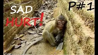 VERY PITY ! So Poor Baby Bree So sad hide alone| Bree scare Cos Tara bite s0 hard.