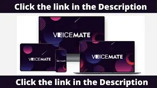 Voice Mate Review