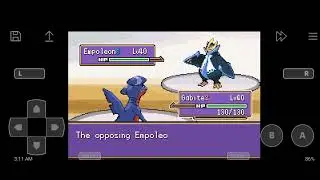Pok&eacute;mon Unbound - Maxima boss battle