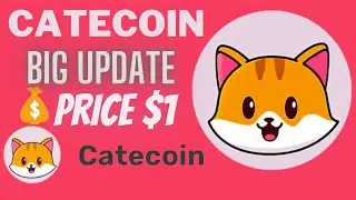 CATECOIN -? CATECOIN NEW UPDATE | PRICE PREDICT 2022