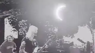 𝘚𝘠𝘔𝘗𝘈𝘛𝘏𝘠 𝘍𝘓𝘖𝘞𝘌𝘙𝘚 - 𝘈𝘗𝘗𝘈𝘙𝘐𝘛𝘐𝘖𝘕