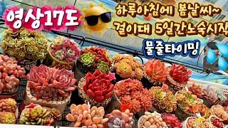 1.15💗겨울노숙🌞5일만하러 나가기🏃‍♀️물타이밍💦