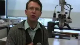 Universidad Austral de Argentina: Una oportunidad inusual