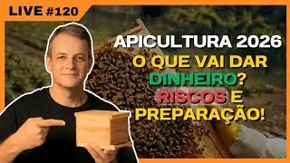 APICULTURA 2026: O QUE VAI DAR DINHEIRO? RISCOS E PREPARAÇÃO