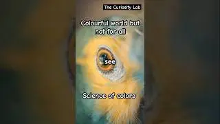 Beyond Human Vision: How Animals See Colors 👀🌈 #AnimalVision #NatureWonders