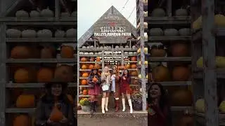 Pumpkin Spice & All Things Nice! A Perfect Autumn Day at Tulleys Farm 🎃✨