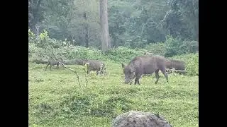 Arusha national park is the natural paradise 