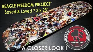 BEAGLE FREEDOM PROJECT - a closer look collaboration skateboard freestyle deck