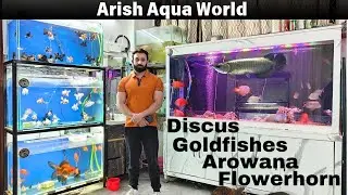 Arish Aqua World High Quality Arowana / Flowerhorn / Discus & Goldfishes Collection At Best Price