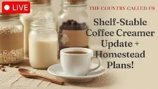 Shelf-Stable Coffee Creamer Review | New Homestead Gear & Next Steps